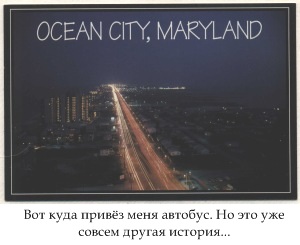 Вот куда привёз меня автобус. Но это уже совсем другая история