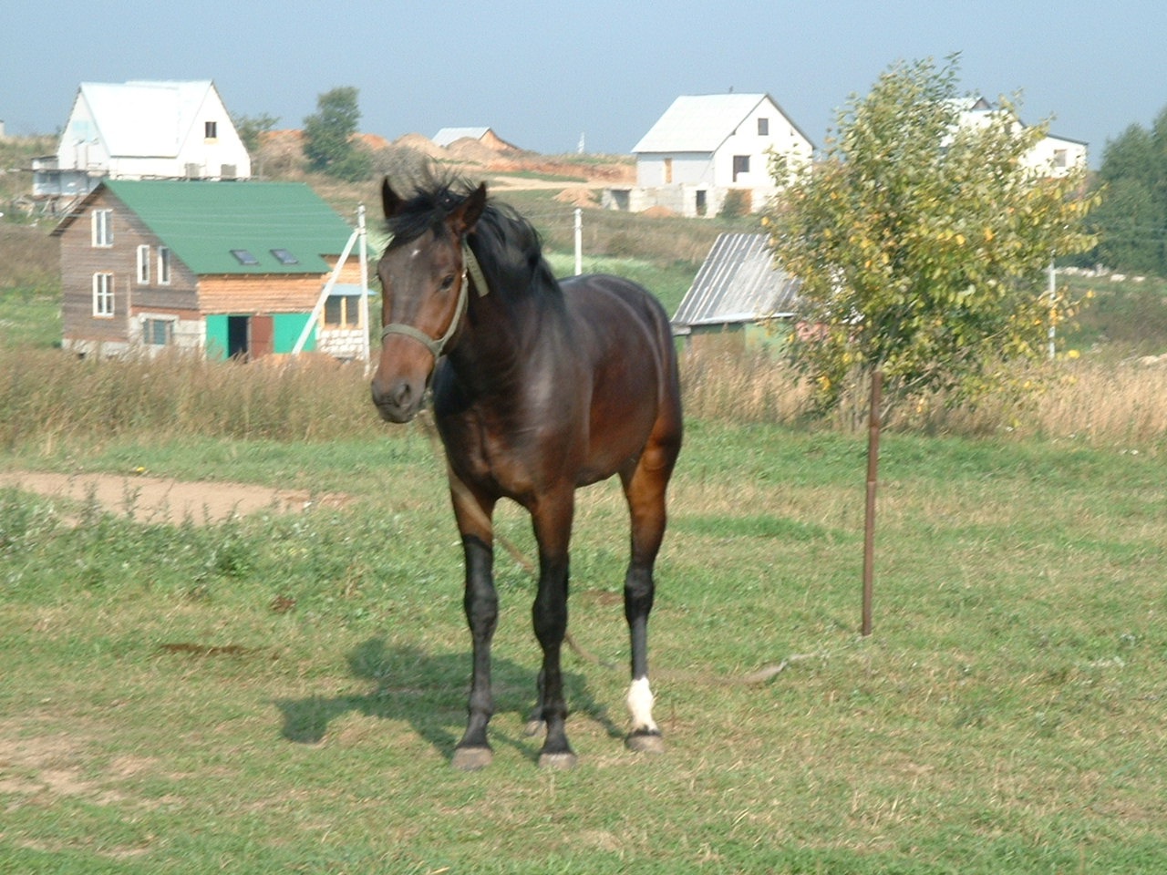 Собор. Фото3