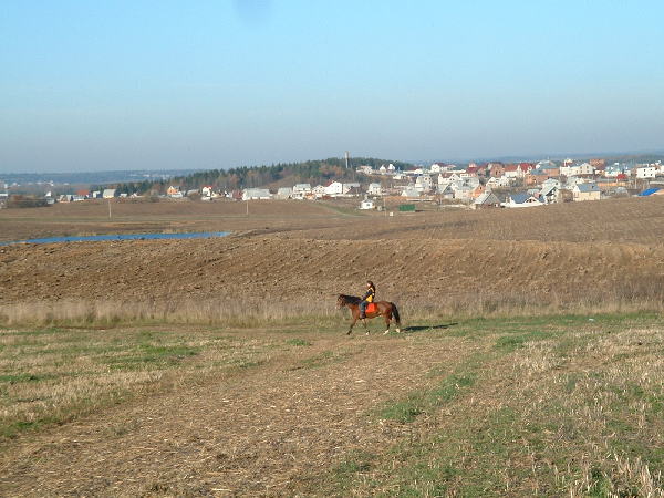 Тарасово летом